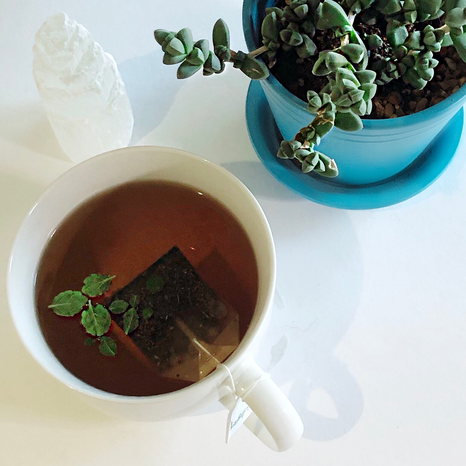 peppermint tea with a succulent and selenite crystal
